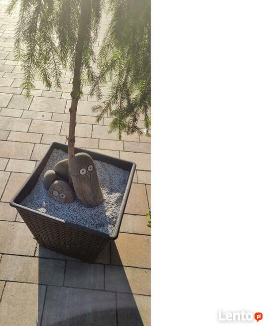 Suche Kruszywo Granitowe Fuga Zasypka do Kostki 4-5 mm Grys