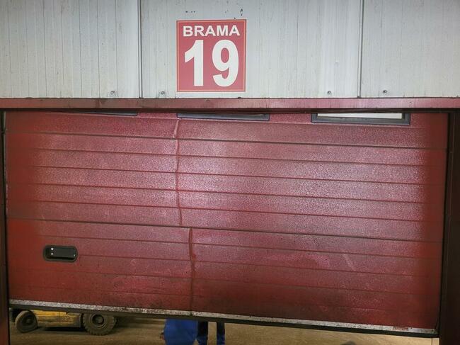 Serwis / naprawa / montaż bram garażowych i automatyki