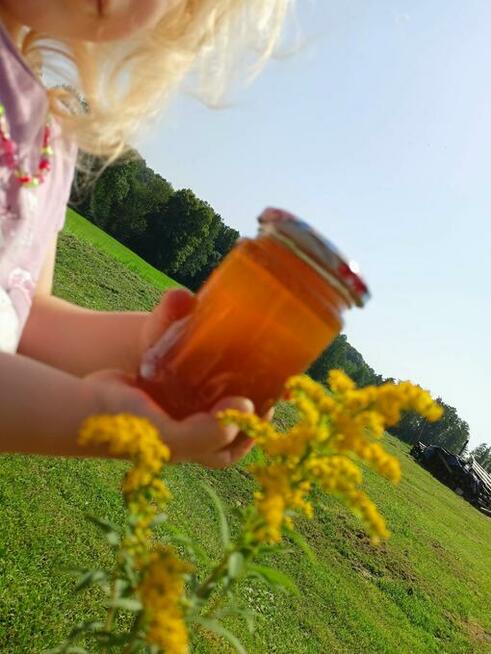 Miód akacjowy lipowy spadziowy wielokwiatowy pasieka Gucio