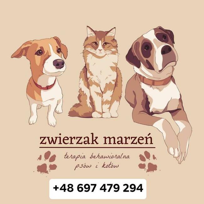 Behawiorysta zwierząt COAPE psy i koty