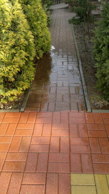 Mycie elewacji, mycie dachów, mycie kostki .