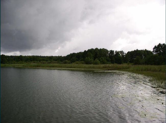 Ładna działka blisko jeziora