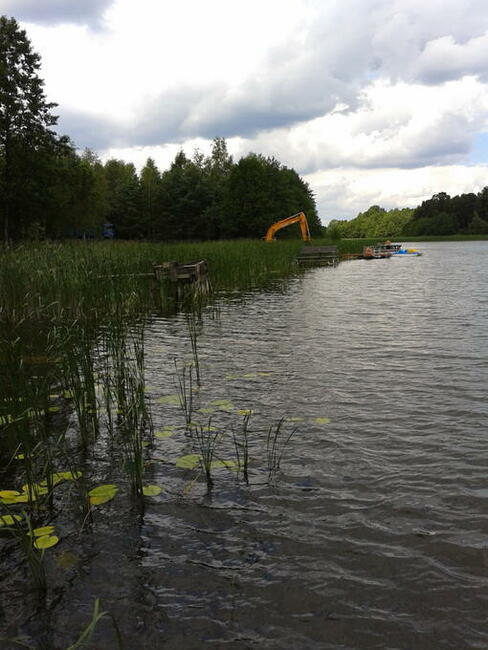 Działka z własną linją brzegową i takimi rybami
