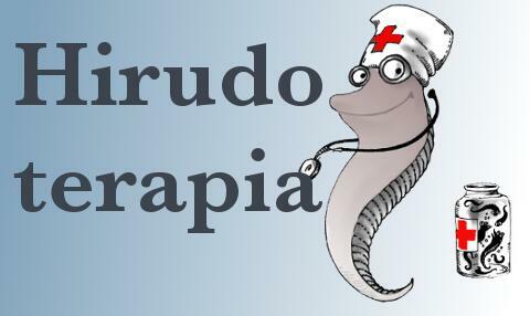 Zabiegi pijawką lekarską HIRUDOTERAPIA