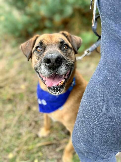 Wesoły energiczny staruszek BŁAGA o wspaniały domek