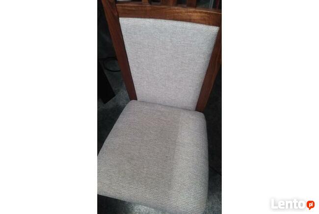 Odkurzacz piorący KARCHER PUZZI 10/1 - wynajem