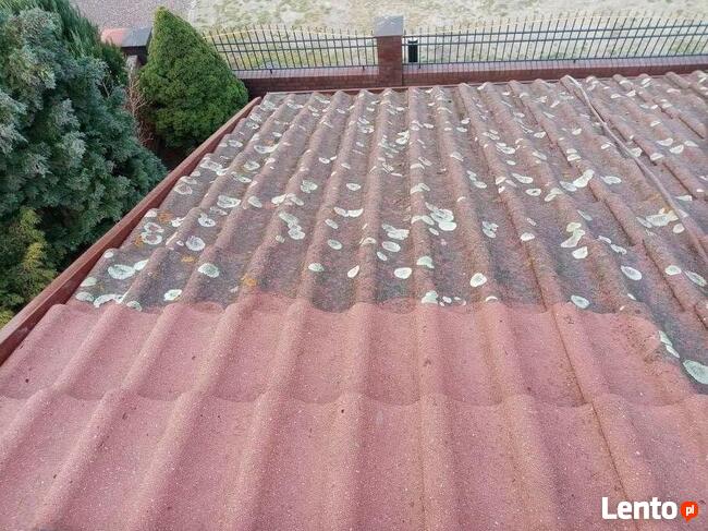 malowanie i czyszczenie dachów, elewacji, kostki