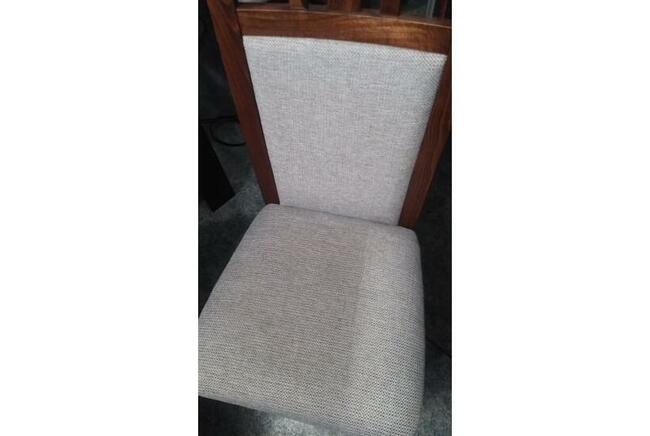 Odkurzacz piorący KARCHER PUZZI 10/1 - wynajem