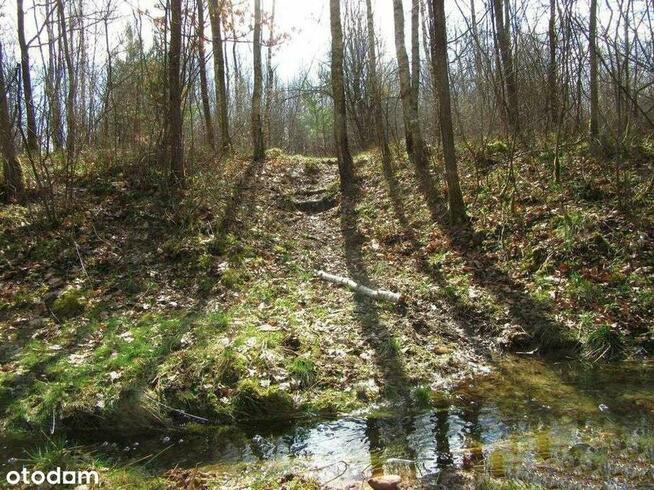 Działka 1,5 ha z domem Gosań gm. Stąporków