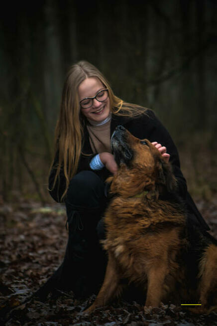 Shrek - morze łagodności, spokoju, psiej miłości