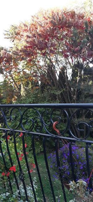 *SPRZEDAM DOM-Z GRUNTEM LUB BEZ