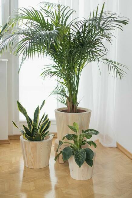 Zestaw donic drewnianych, donice tarasowe, osłonki