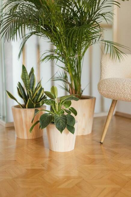 Zestaw donic drewnianych, donice tarasowe, osłonki