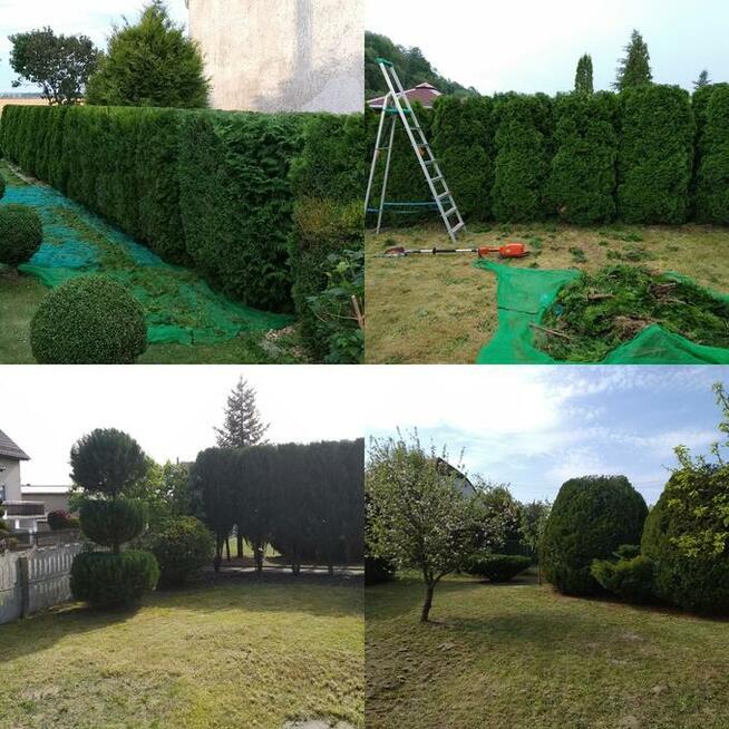 Glebogryzarka separacyjna koszenie wertykulacja przycinanie