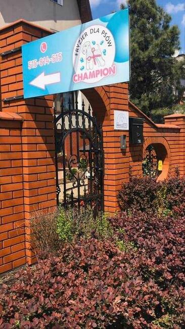 Strzyżenie psów, psi fryzjer Champion Tomaszów Mazowiecki