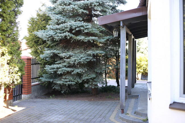 Dom z dużą działką blisko natury