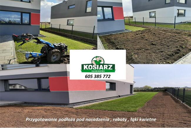 Zakładanie trawników z rolki sianych łąk kwietnych