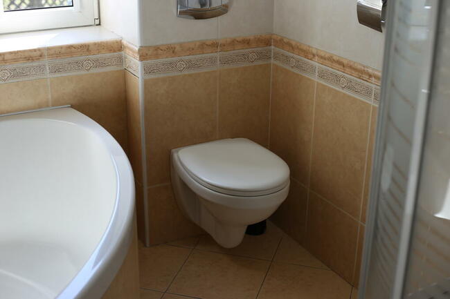 Dom z dużą działką blisko natury