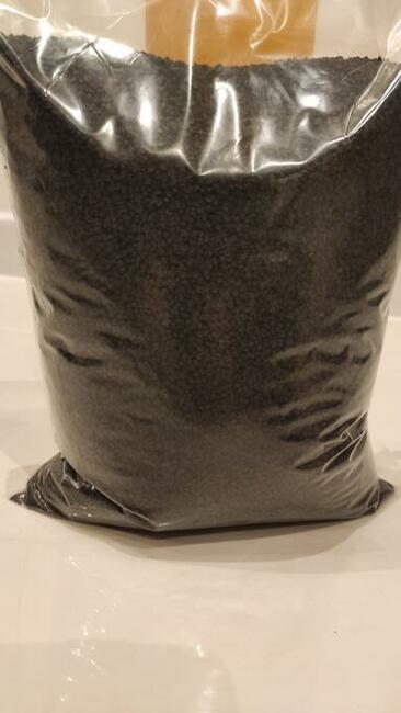 Cebula, nasiona cebuli Rijnsburger 5 - Robusta MK, 250 000 n