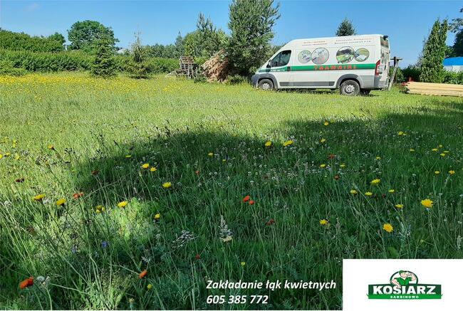 Zakładanie trawników z rolki sianych łąk kwietnych
