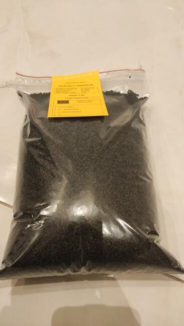 Cebula, nasiona cebuli Rijnsburger 5 - Robusta MK, 250 000 n