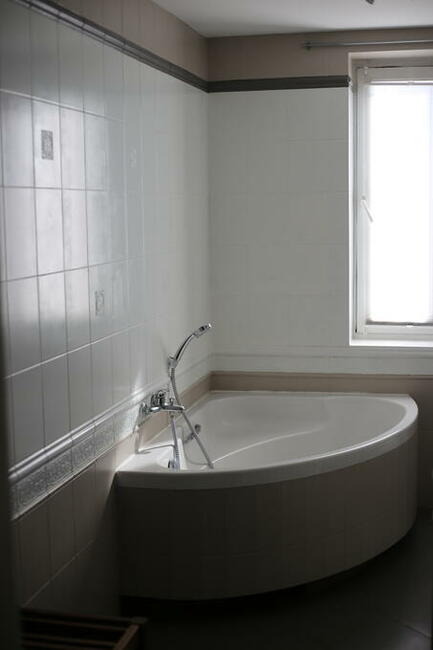 Dom z dużą działką blisko natury