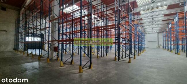 Hala Do Wynajęcia | Sse Euro-Park W Mielcu