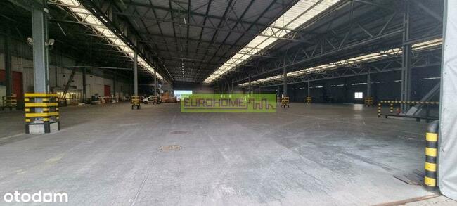 Hala Do Wynajęcia | Sse Euro-Park W Mielcu