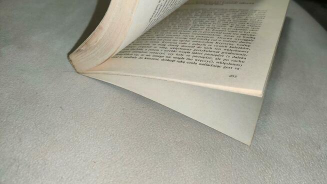 „Magdalena w nocy, diablica z Mediolanu” + GRATIS książka