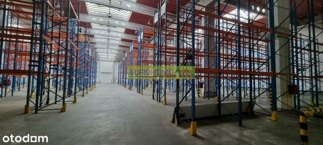 Hala Do Wynajęcia | Sse Euro-Park W Mielcu