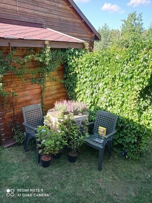 Dwa domki letniskowe I domek holenderski