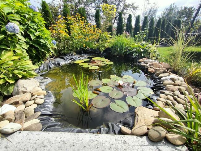 Działka ROD WIARUS Balice