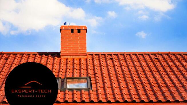 Czyszczenie, Malowanie, Impregnacja, dachu, elewacji, kostki