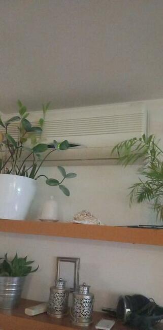 Pokoje do wynajęcia