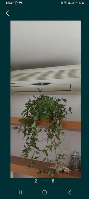 Pokoje do wynajęcia