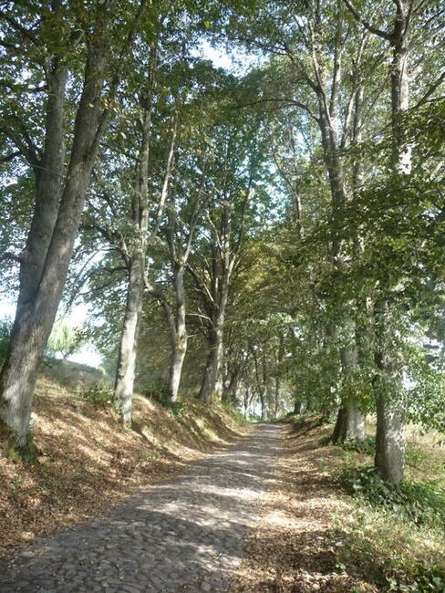 BUDYNEK W OTULINIE ZIELENI I TARASOWO UŁOZONYCH STAWÓW