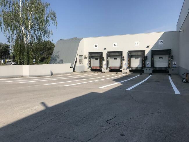 Malowanie pasów, parkingów, hal, magazynów Zielona Góra