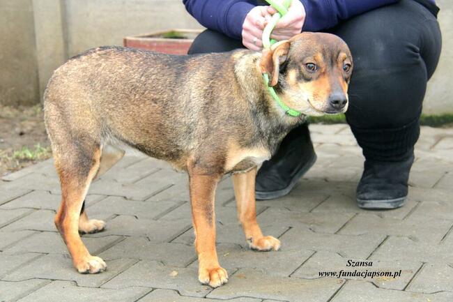 Szansa - milutka dziewczynka