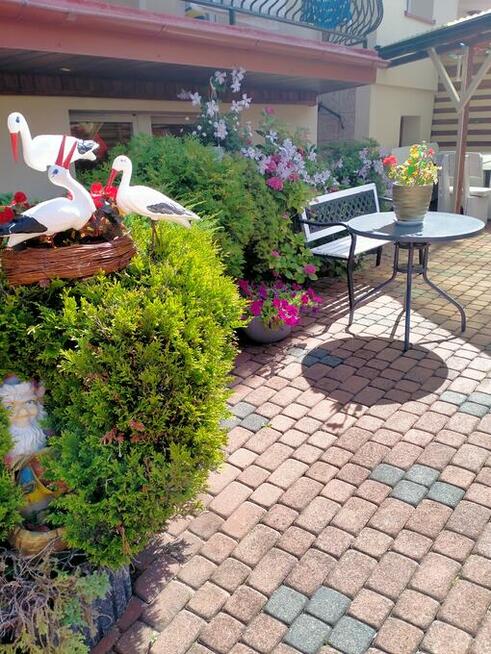 Noclegi nad morzem tel.512344279 Nocleg nad morzem Władek