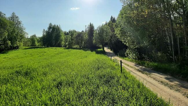 Atrakcyjne działki Mierkinie-okolice j. Hańcza. 3000 m.kw.