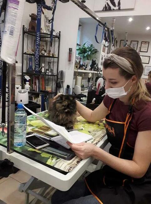 Szkolenie z pielęgnacji Kota i nauka kąpieli ozonowych