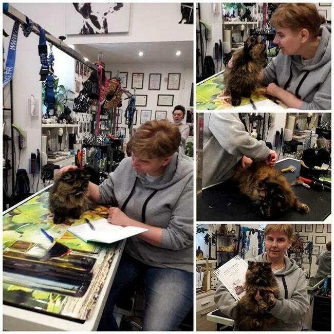 Szkolenie z pielęgnacji Kota i nauka kąpieli ozonowych