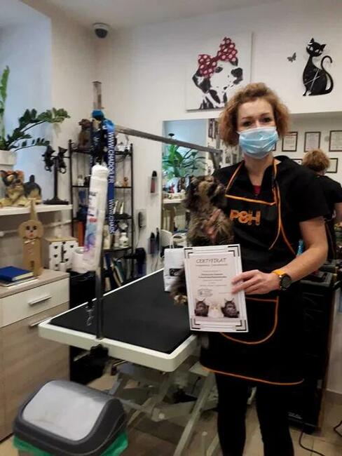 Szkolenie z pielęgnacji Kota i nauka kąpieli ozonowych