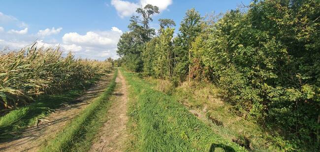 Działki pod Szeregi/Bliźniaki/Wolnostojące