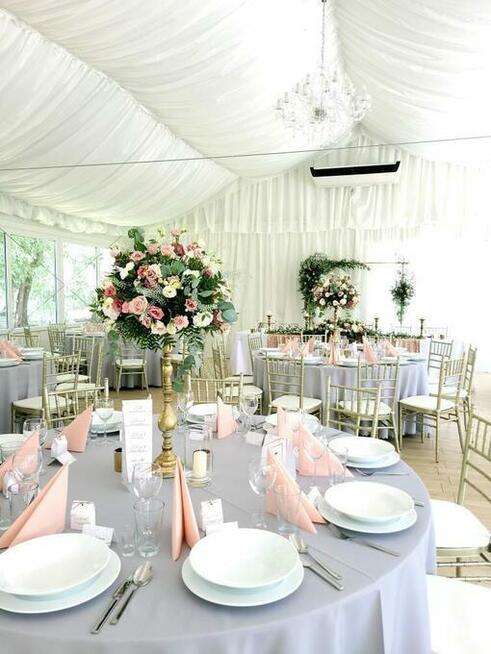 Krzesła Chiavari, wynajem krzeseł, krzesła plenerowe, złote