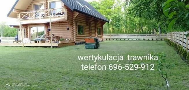 Trawnik pielęgnacja ogrodu