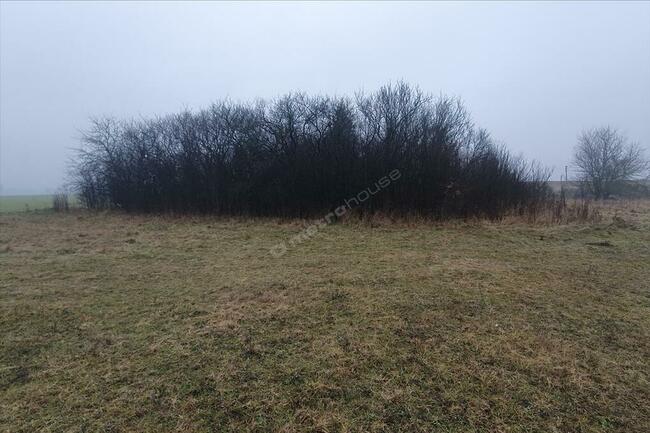 Na sprzedaż działka rolna zabudowana o pow. 0,2361 ha.