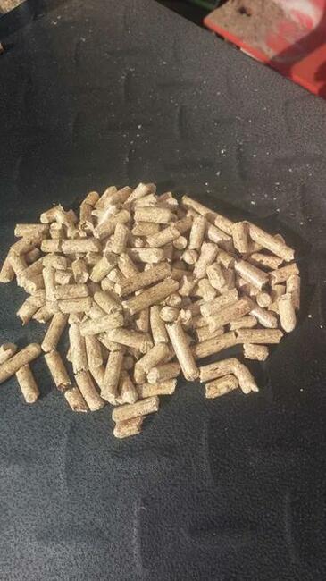 Sprzedam certyfikowaną lekką sosnową pellet