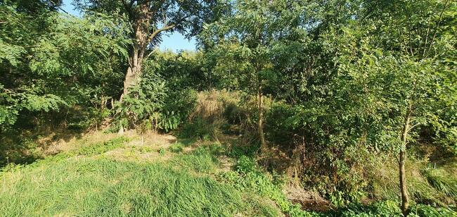 Działki pod Szeregi/Bliźniaki/Wolnostojące