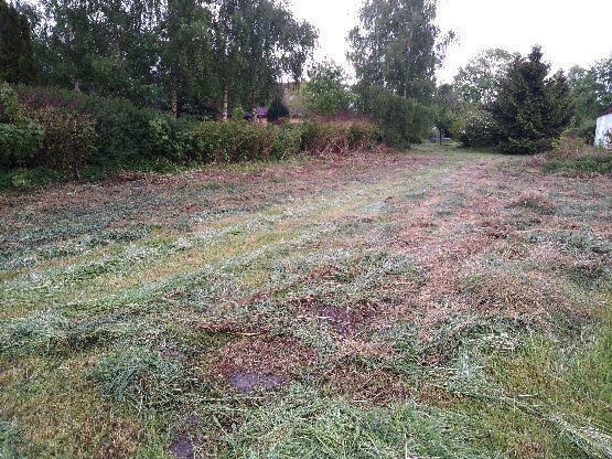 Malownicze działki nad morzem , tylko 3 km do morza .